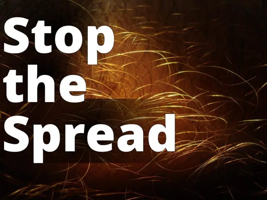 Human hair closeup-08960-nevit - a close up of a field of grass