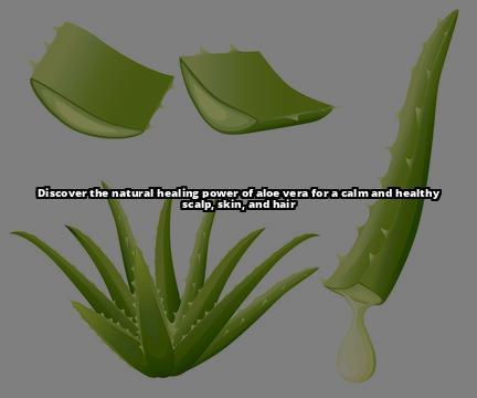 The Benefits of Aloe Vera for Treating Seborrheic Dermatitis