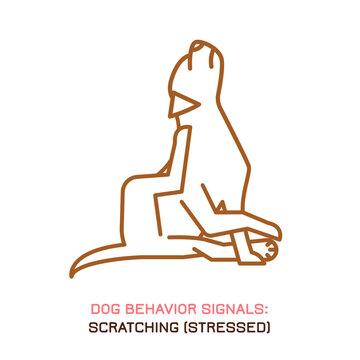 Thyroid Health and Seborrheic Dermatitis: The Surprising Connection