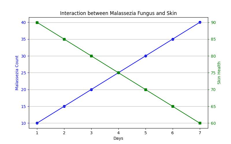 Seborrheic Dermatitis: Unraveling the Fungal Connection