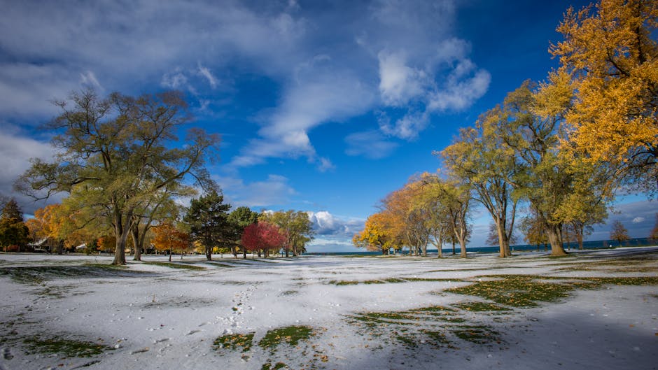 Emergency Seb Derm Flare Care During Summer: Quick Relief Strategies 2026 - Captivating autumn park with colorful foliage and early snow under a clear blue sky.