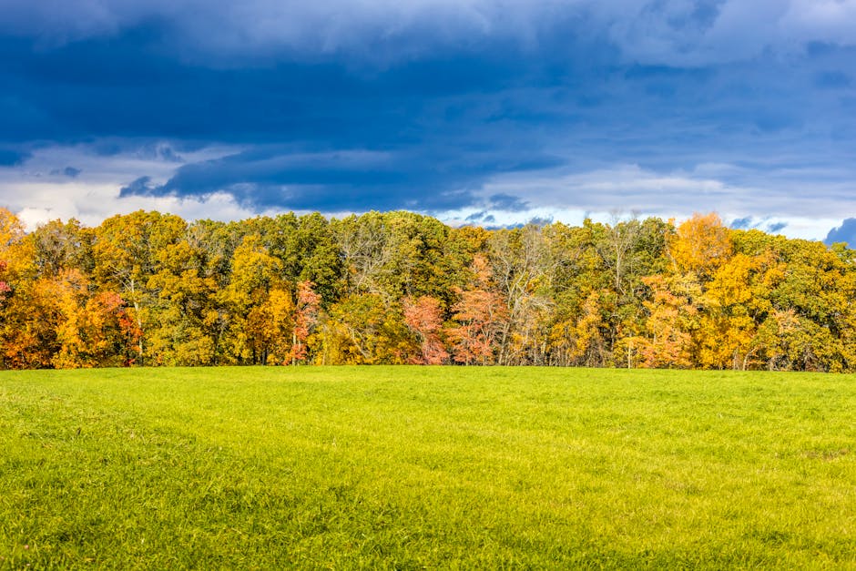 Emergency Seb Derm Flare Care During Summer: Quick Relief Strategies (2026) - Capture of vibrant autumn trees and lush green grass in Grafton, MA under a dramatic cloudy sky.