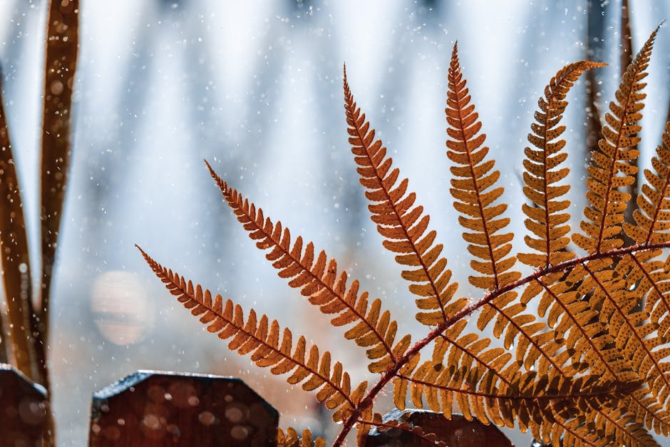 Travel Preparation for Seborrheic Dermatitis in Summer 2026: Packing Guide & Tips - Detailed image of a brown fern leaf in autumn, with snow gently falling in the background.
