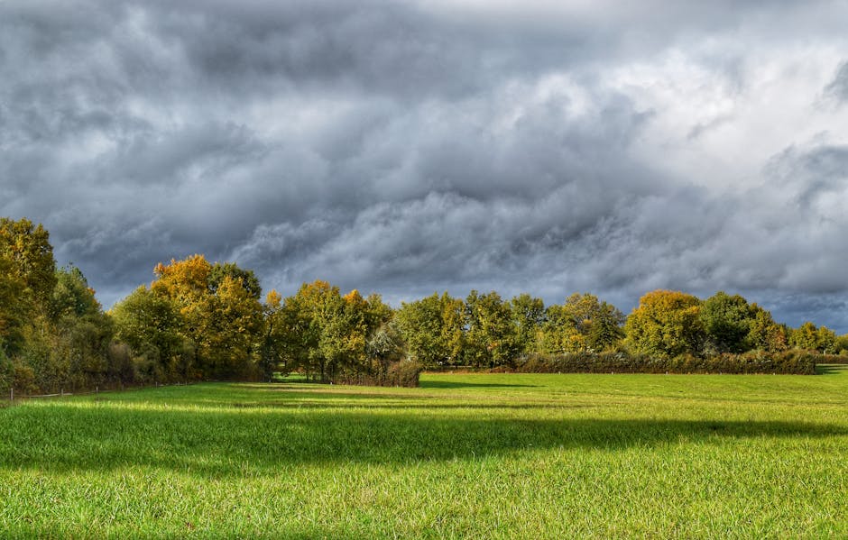 Unraveling the Seasonal Dynamics of Seborrheic Dermatitis Symptoms - Vibrant green field with a dramatic cloudy sky, perfect for nature and weather themes.