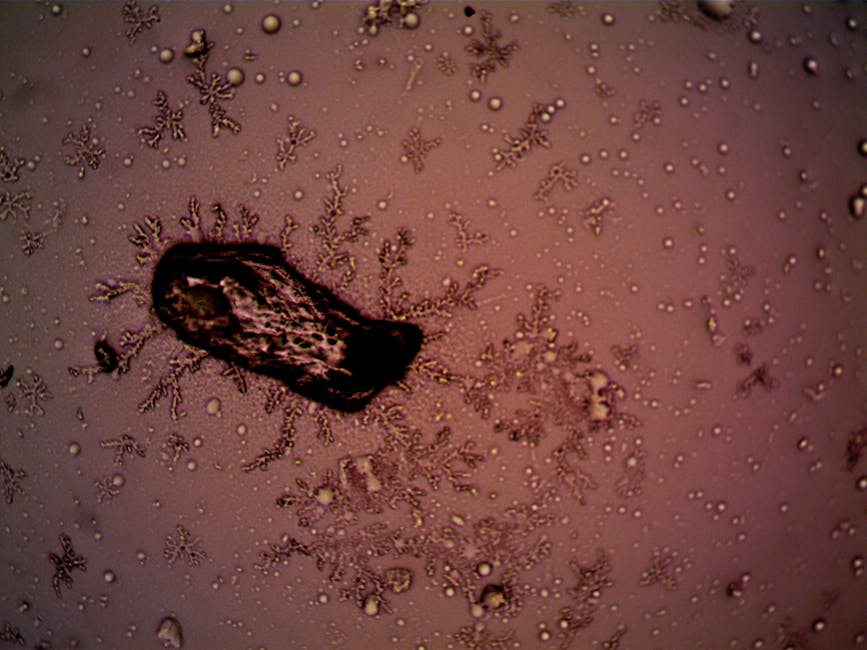 seborrheic-dermatitis-gut-health-microbiome-2026 - Close-up of bacteria and crystal formations under a microscope, displaying intricate patterns.